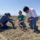 Juliana Osse de Souza, Paula Guzman-Delgado and Stuart Woolf in an agave field in Huron owned by Woolf.  (Melissa Haworth / UC Davis)