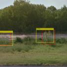 Johnsongrass patches identified using Google Street View. The yellow boxes were designated by artificial intelligence; the red boxes were drawn by human hand.