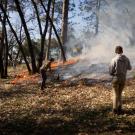 Community members, agency staffers, landowners and researchers tend a prescribed burn in Placerville, California in February 2022. (Tim McConville/UC Davis)
