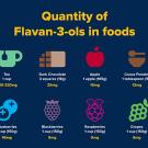 Quality of Flavor-3-ols in foods. 1 cup of brewed tea (280-320 mg); 3 squares of dark chocolate (18g) 20 mg; an apple (165g) (15 mg), 1 tbsp of cocoa powder (13mg); 1 cup of blueberries (150g) (10mg); 1 cup of blackberries (150g) (9mg); 1 cup of raspberries (150g) (9mg); and 1 cup of grapes (150g) (6mg).