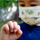 A little boy watches a ladybug on his hand.