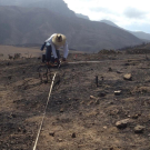 In September 2013, a few months after the Springs Fire blazed through the Santa Monica Mountains in Southern California, a team led by Justin Valliere started laying out plots to study how invasive weeds and air pollution would impact the resurgence of native plants that usually flourish after a wildfire. Their tests tried to mimic nitrogen coming from vehicle exhaust in nearby Los Angeles. (Justin Valliere/UC Davis)