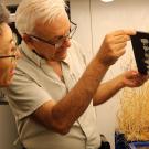 Two scientists in a lab; older man points to a film while colleague inspects potted wheat roots