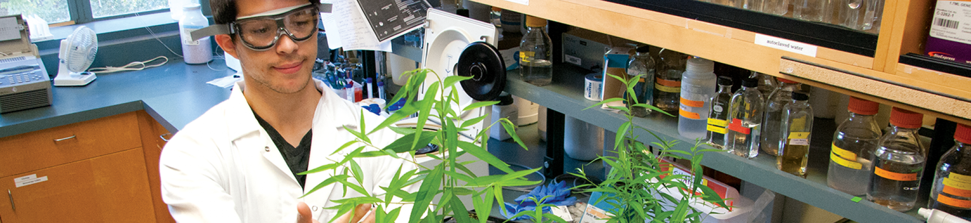 Student growing plants in a lab