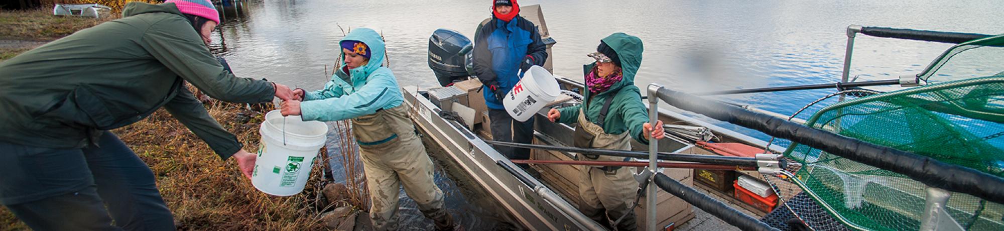 Faculty and students working together at the Fall River fish tagging event. (Photo by Val Atkinson)