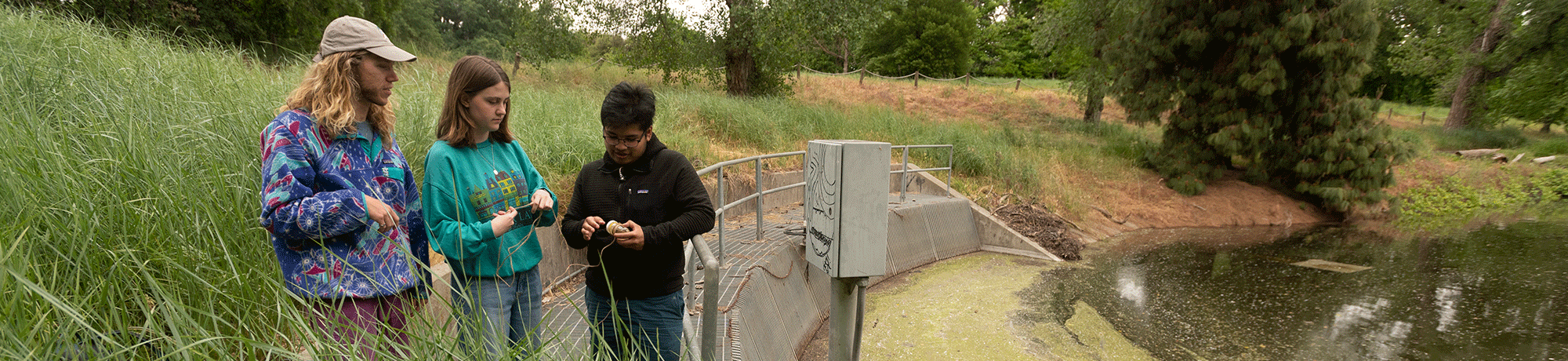 Students taking water samples at the UC Davis Arboretum.