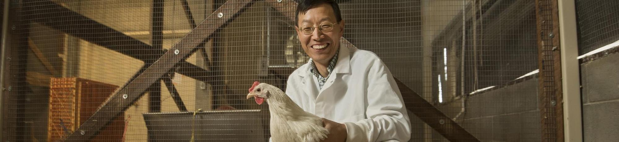Huaijun Zhou holds a chicken.